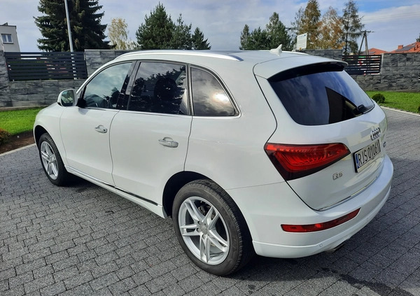 Audi Q5 cena 86500 przebieg: 114200, rok produkcji 2017 z Jasło małe 137